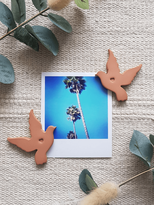 LOT DE 2 MAGNETS - OISEAUX