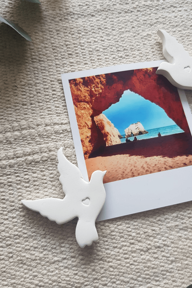 LOT DE 2 MAGNETS - OISEAUX