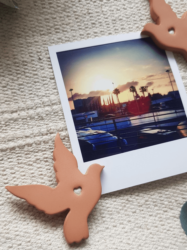 LOT DE 2 MAGNETS - OISEAUX