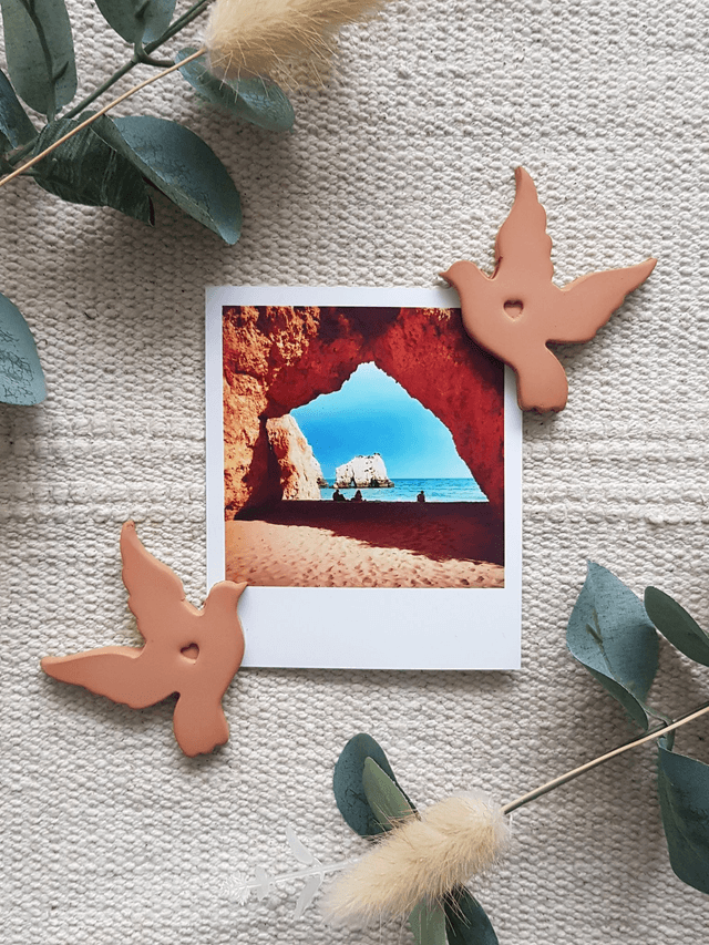 LOT DE 2 MAGNETS - OISEAUX